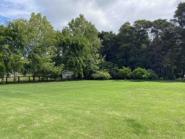 Photo 21 for Native Forest Retreat - Rosemount Green