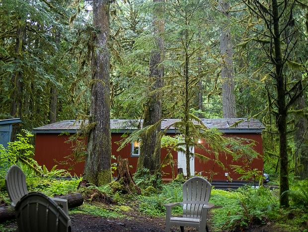 Photo 7 for Forest Bathing on the Mountain