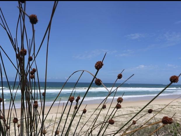 Photo 14 for Gull Cottage Wooli