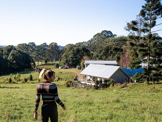 Photo 2 for A Nature Walk Through Bangalow Bails