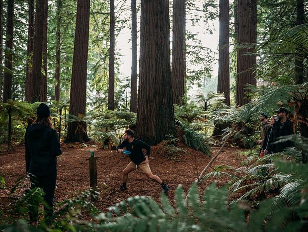 Photo 1 for Disc Golf