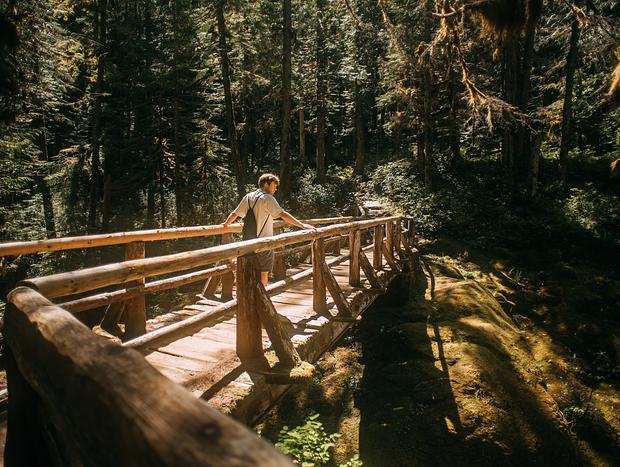 Photo 2 for Silver Falls