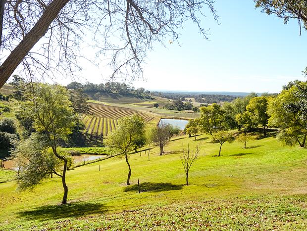Photo 2 for Wine Tasting at Carillion Wines