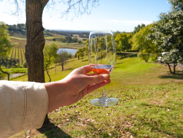 Photo 3 for Wine Tasting at Carillion Wines