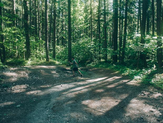 Photo 2 for Tatoosh Trail