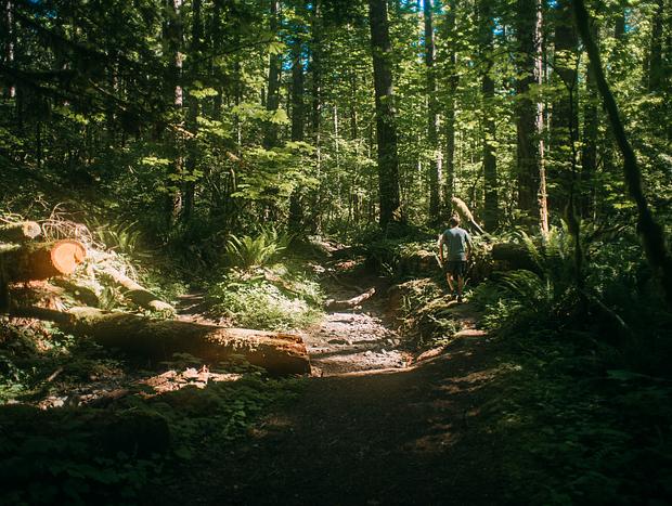 Photo 3 for Tatoosh Trail