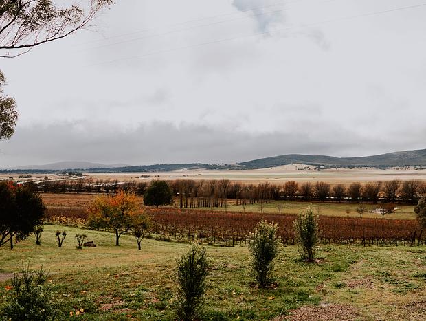 Photo 16 for Edgar at Lake George Winery