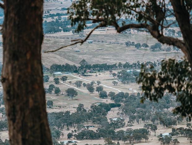 Photo 4 for Mount MacKenzie Lookout
