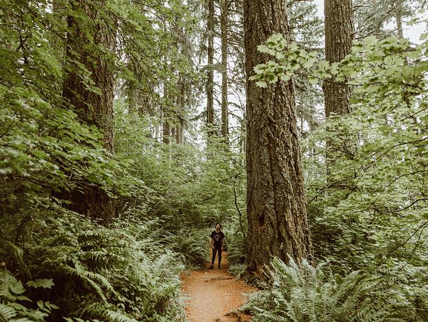 Photo 12 for Tiny Home Forest Escape