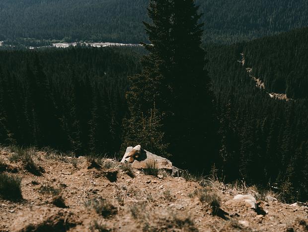 Photo 2 for Mountain Drives at Mt Rainier National Park