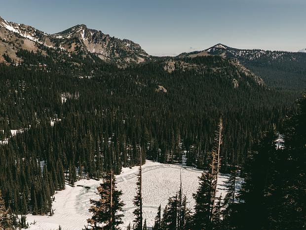 Photo 5 for Mountain Drives at Mt Rainier National Park