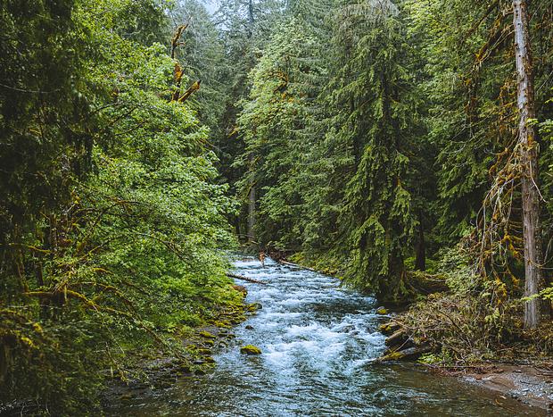 Photo 12 for Rustic Cabin Escape Near Mt Hood