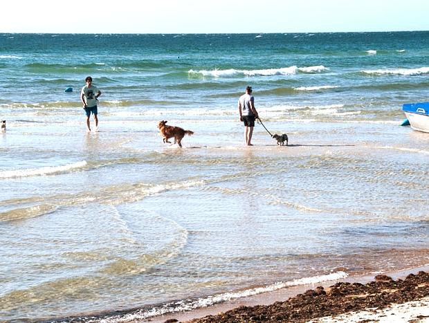 Photo 35 for Mount Martha Renovated Coastal Abode - Village & Beach