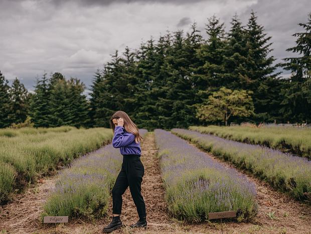Photo 3 for Lavender Field