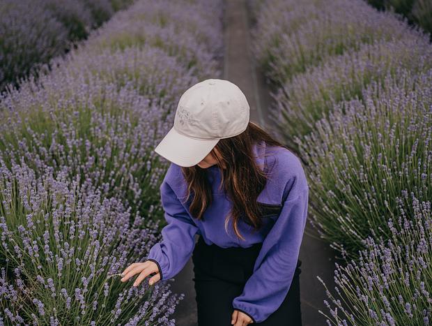 Photo 4 for Lavender Field