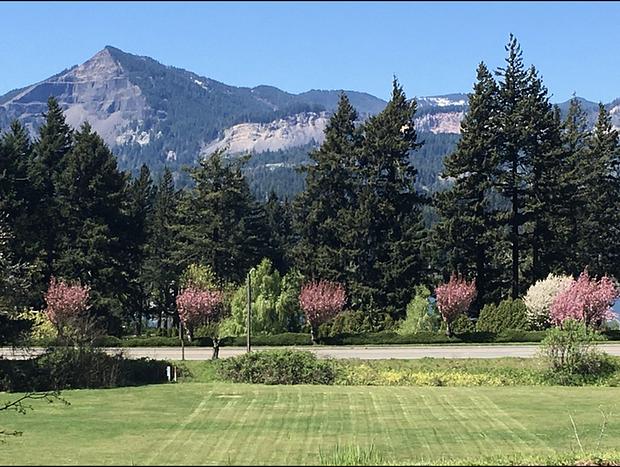 Photo 11 for Cozy Base Camp For Your Adventures In The Gorge