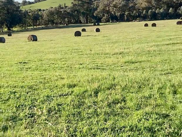 Photo 25 for Hilltop Views Country Farm Stay