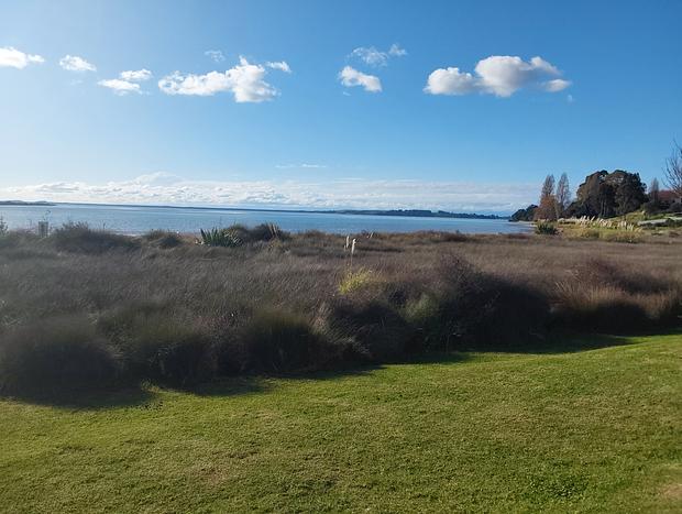 Photo 41 for Pahoia Beachfront Cabins