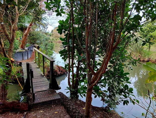 Photo 62 for Pahoia Beachfront Cabins