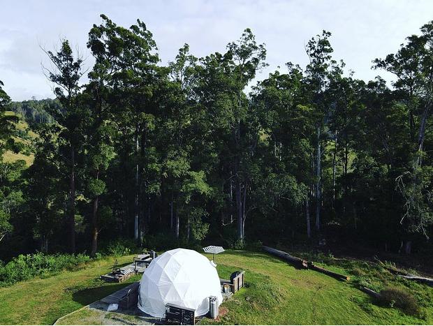Photo 4 for Forest Dome at Nature Domes - The Ultimate Outdoors Experience