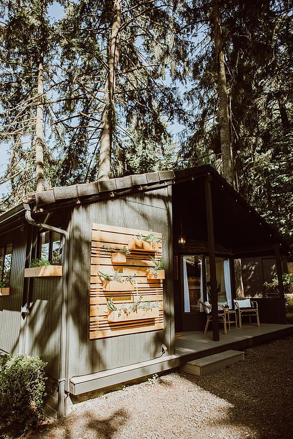 Tall Firs Tiny Home Walkable to Ridgeline Trail Tiny house for Rent