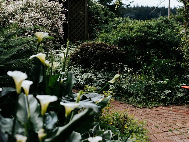 Photo 29 for House Kinlands Cottage in Magic Skagit Valley