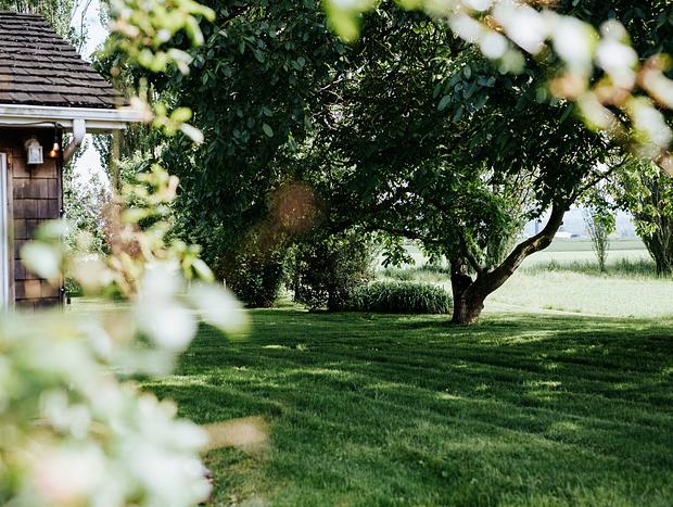 Photo 35 for House Kinlands Cottage in Magic Skagit Valley
