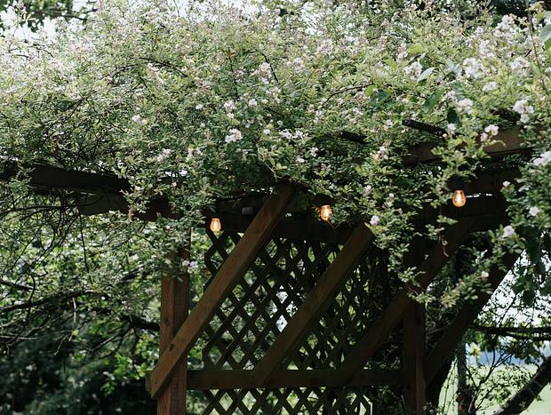 Photo 36 for House Kinlands Cottage in Magic Skagit Valley