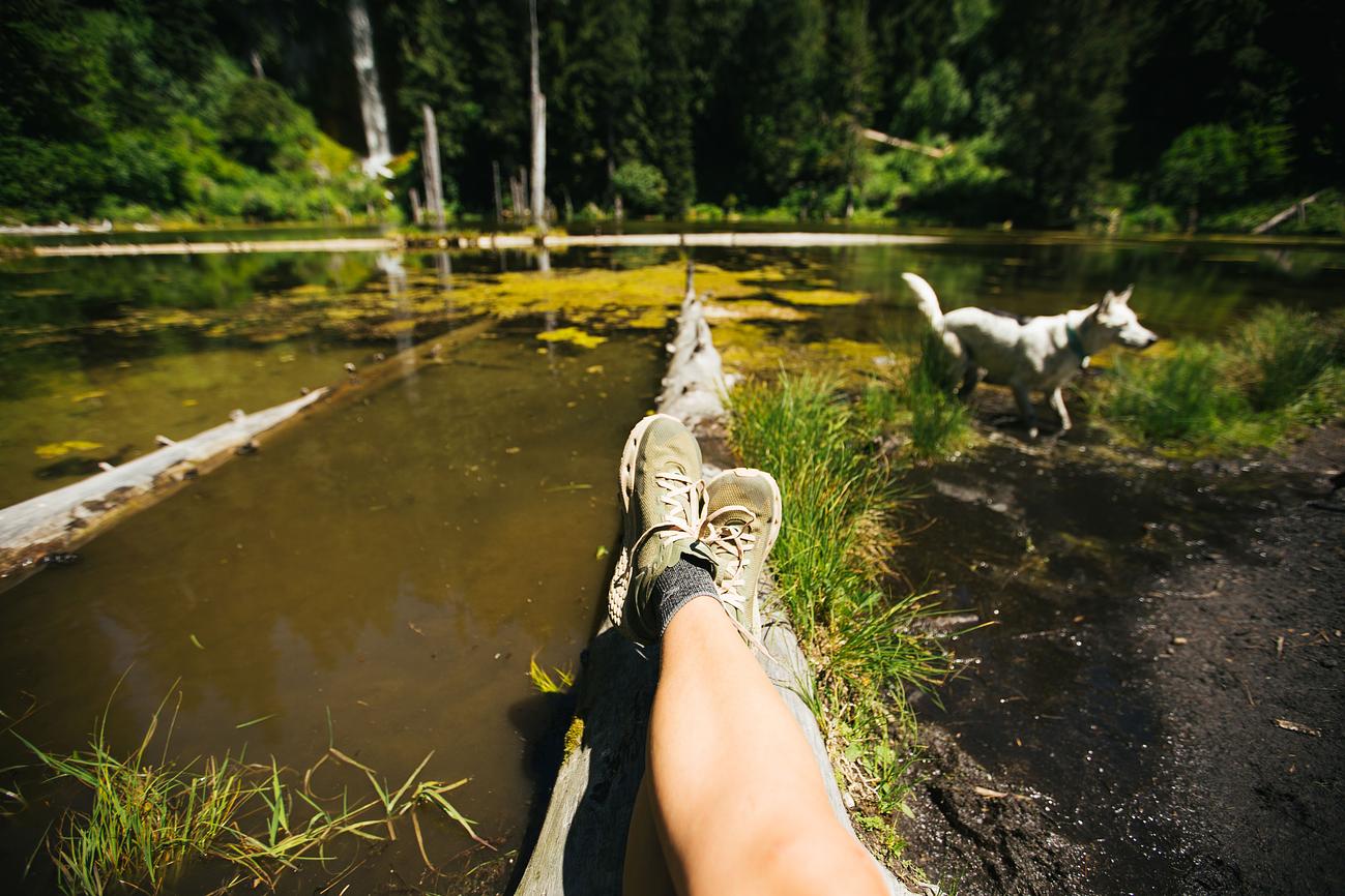 NEW Waterfront AFrame Glamping Cabin Tiny house for Rent in Longview