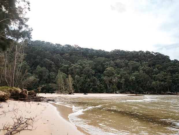 Photo 4 for Nature Walk Around Great Mackerel Beach