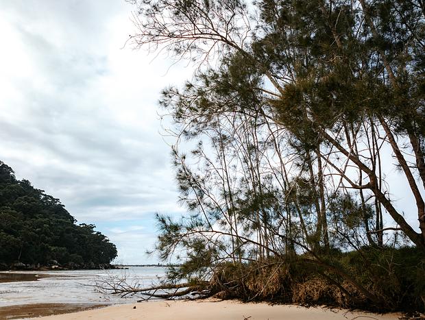 Photo 6 for Nature Walk Around Great Mackerel Beach