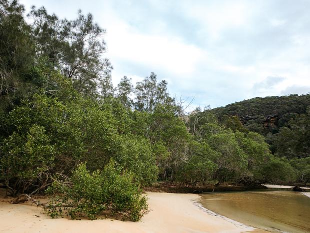 Photo 8 for Nature Walk Around Great Mackerel Beach