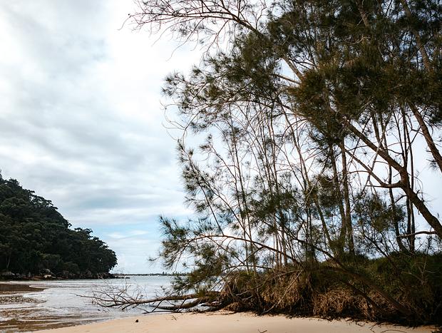 Photo 11 for Nature Walk Around Great Mackerel Beach