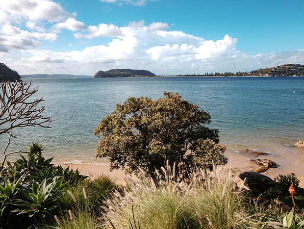 Photo 12 for Nature Walk Around Great Mackerel Beach
