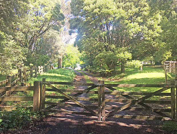 Photo 9 for Otways Cottage