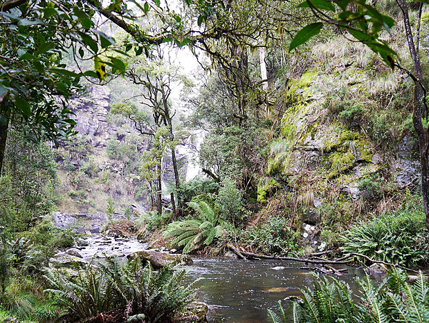 Photo 21 for Otways Cottage