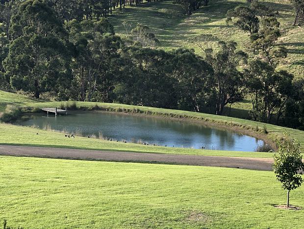 Photo 17 for Whileaway Barn In Idyllic Rural Red Hill Setting