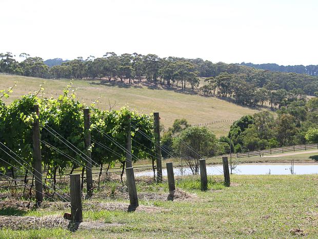 Photo 19 for Whileaway Barn In Idyllic Rural Red Hill Setting