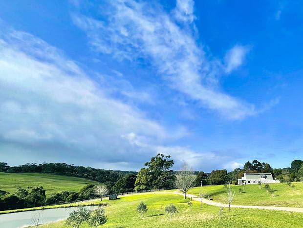 Photo 21 for Whileaway Barn In Idyllic Rural Red Hill Setting