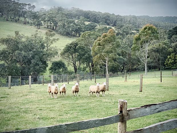 Photo 22 for Whileaway Barn In Idyllic Rural Red Hill Setting