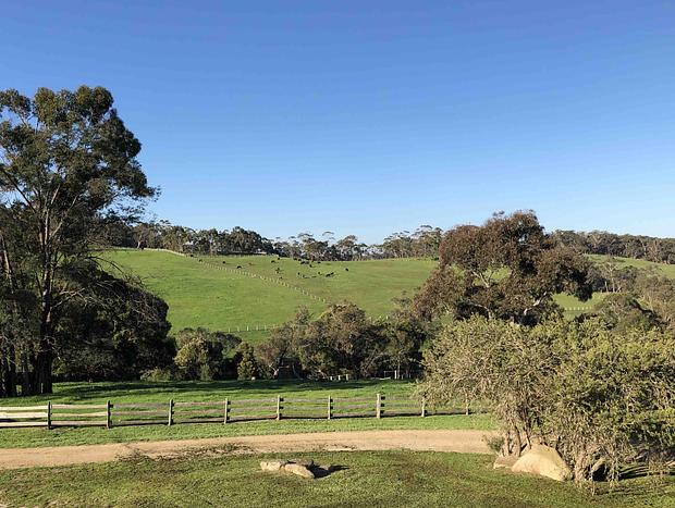 Photo 23 for Whileaway Barn In Idyllic Rural Red Hill Setting