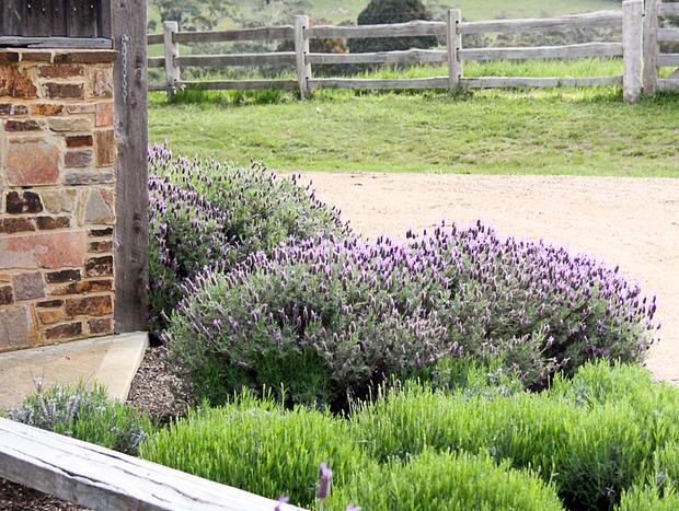 Photo 24 for Whileaway Barn In Idyllic Rural Red Hill Setting