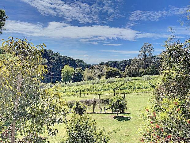 Photo 33 for Red Hill Lane - 5 Bedroom - Vineyard & Rural Valley Views