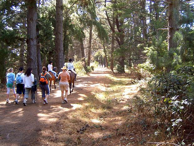 Photo 44 for Red Hill Lane - 5 Bedroom - Vineyard & Rural Valley Views