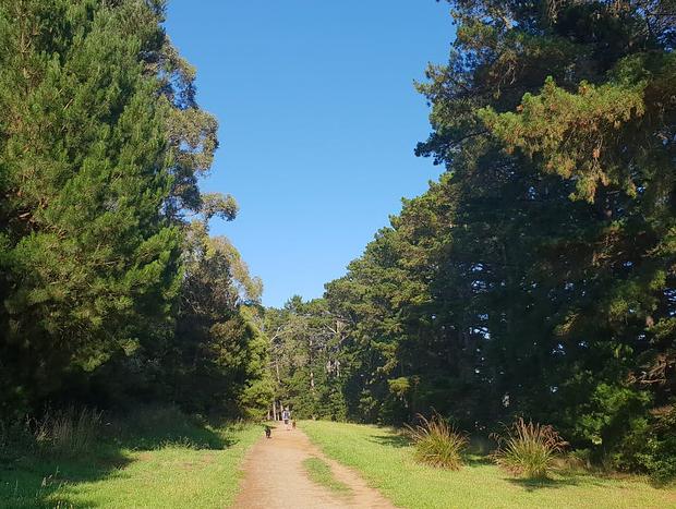Photo 38 for Red Hill Lane - 5 Bedroom - Vineyard & Rural Valley Views