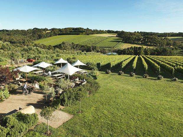 Photo 50 for Red Hill Lane - 5 Bedroom - Vineyard & Rural Valley Views