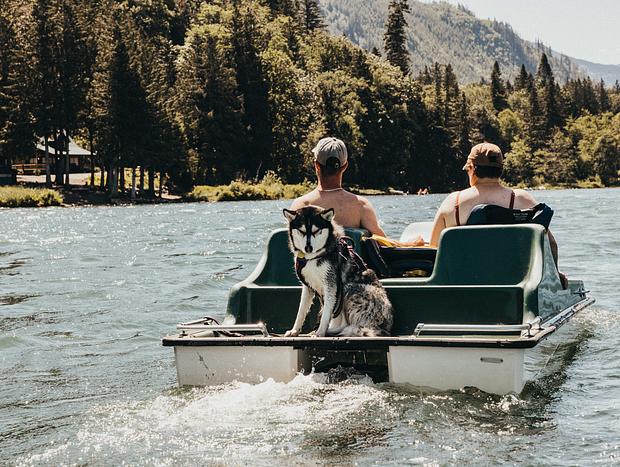 Photo 3 for Paddle Boating at Silver Lake Park