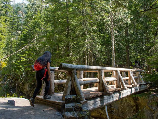 Photo 18 for Stay at the Mt. Rainier NP Entrance