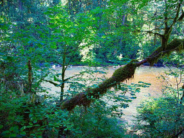 Photo 44 for S'More Tiny Home on River and Cedar Bath House