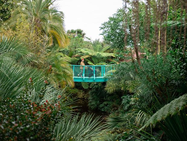 Photo 1 for Hamilton Gardens
